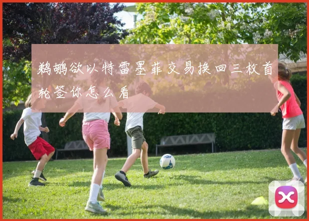 鹈鹕欲以特雷墨菲交易换回三枚首轮签你怎么看