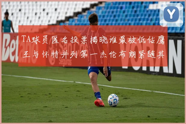 TA球员匿名投票揭晓谁最被低估鹰王与怀特并列第一杰伦布朗紧随其后